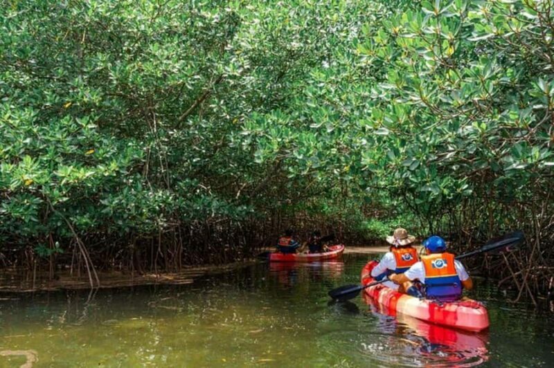 Nusa Penida: Snorkeling 3 Spots with GoPro & Kayak Mangroves - Authentic Experiences and Honest Reviews