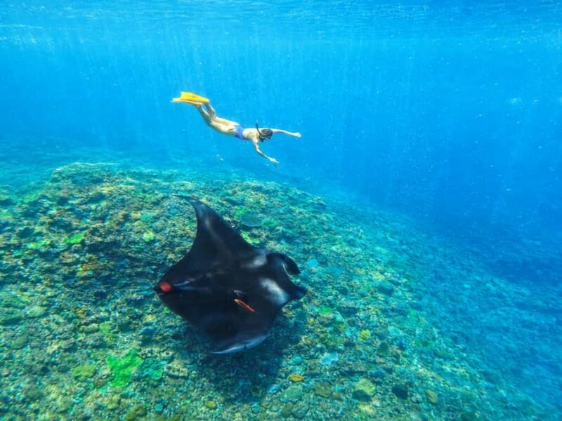 Nusa Penida: Snorkeling 3 Spots with GoPro & West Land Tour - Key Points
