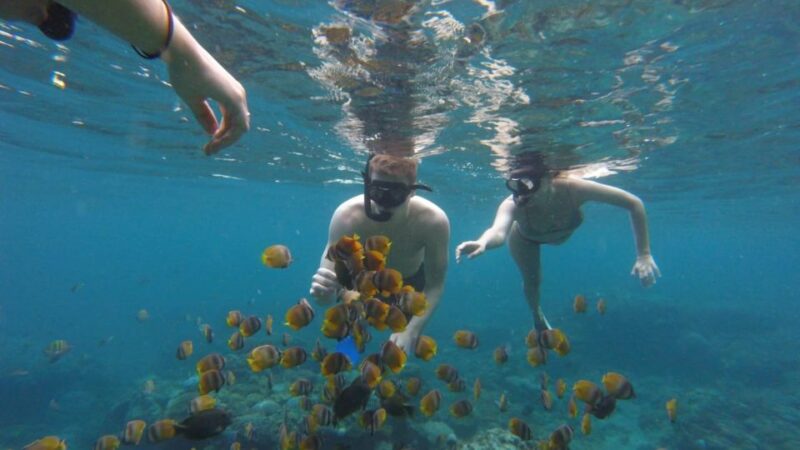 Nusa Penida: Snorkeling 3 Spots With Manta Options - Vibrant Coral Reefs