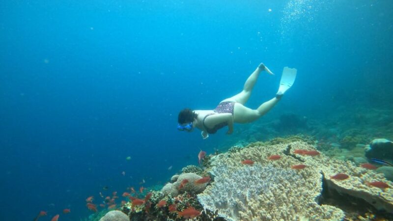 Nusa Penida: Snorkeling 3 Spots With Manta Options - Manta Ray Snorkeling