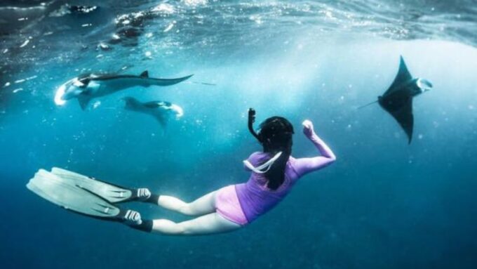 Nusa Penida: Snorkeling 3 Spots With Manta Options - Memories to Cherish