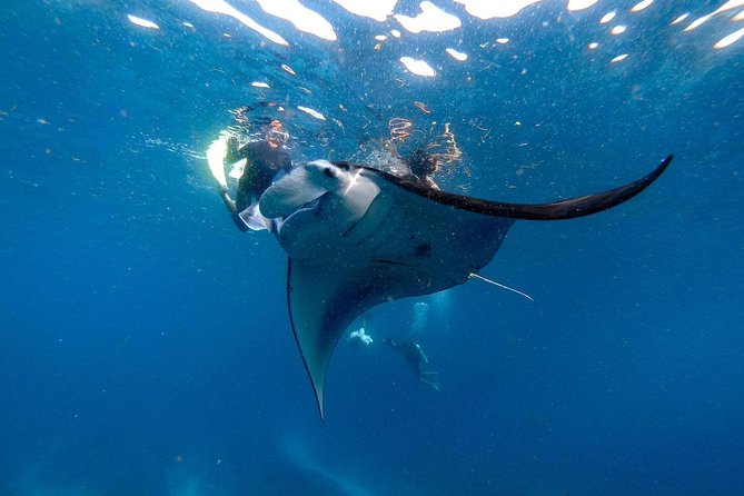 Nusa Penida Snorkeling Adventure (Private & All-Inclusive) - Customer Reviews