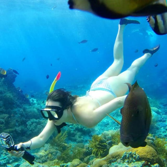 Nusa Penida: Snorkeling at 4 Spots With Colorful Fish - Important Information
