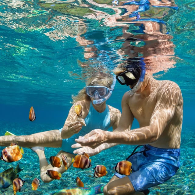 Nusa Penida: Snorkeling at 4 Spots With Colorful Fish - Frequently Asked Questions