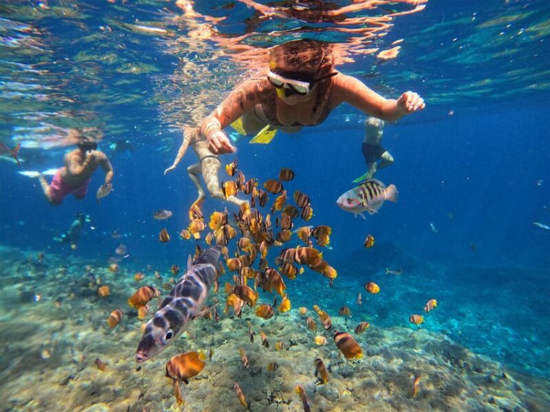Nusa Penida: Snorkeling at 4 Spots With Local Guide - Gamat Bay