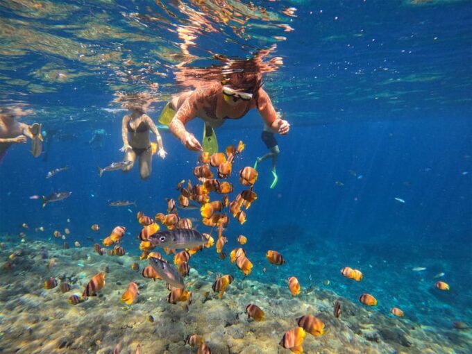 Nusa Penida: Snorkeling at 4 Spots With Local Guide - SD Point