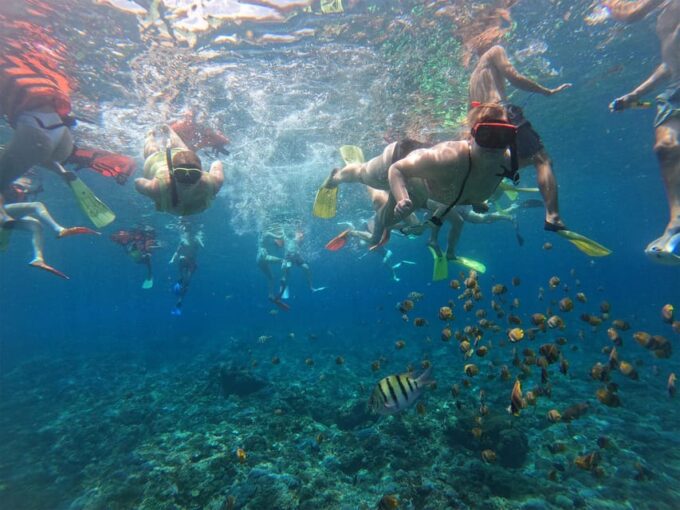 Nusa Penida: Snorkeling at 4 Spots With Local Guide - Wall Bay