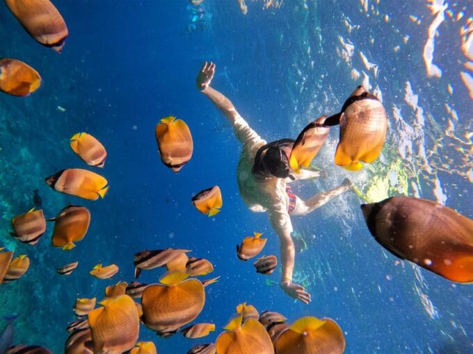 Nusa Penida: Snorkeling at 4 Spots With Local Guide - Frequently Asked Questions