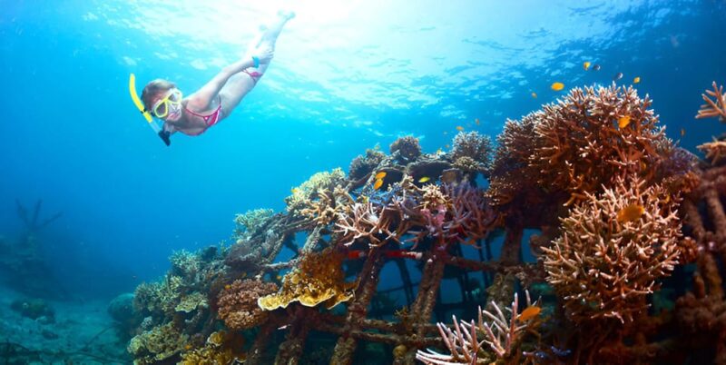 Nusa Penida: Snorkeling Tour With Hotel Transfer From Bali - Key Points
