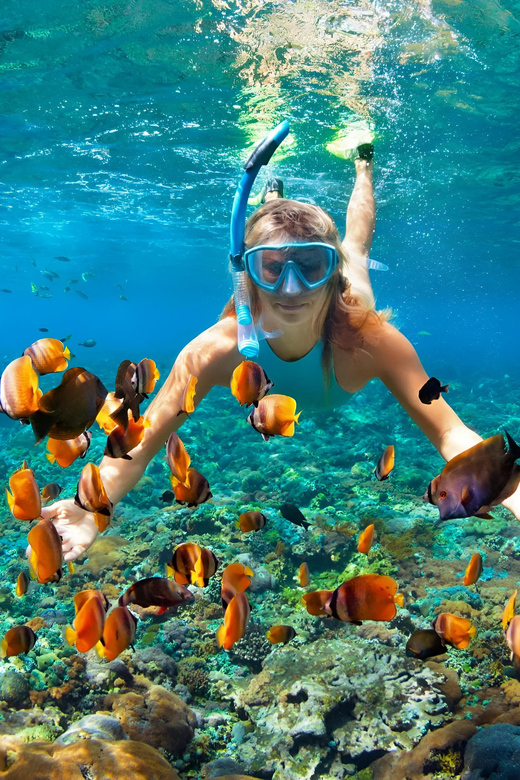 Nusa Penida: Snorkeling Tour With Hotel Transfer From Bali - Pickup and Drop-off Locations