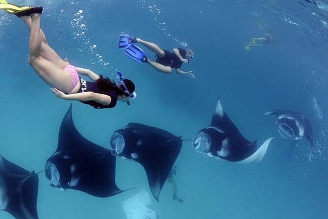 Nusa Penida Snorkeling Tour With Manta Rays - Key Points