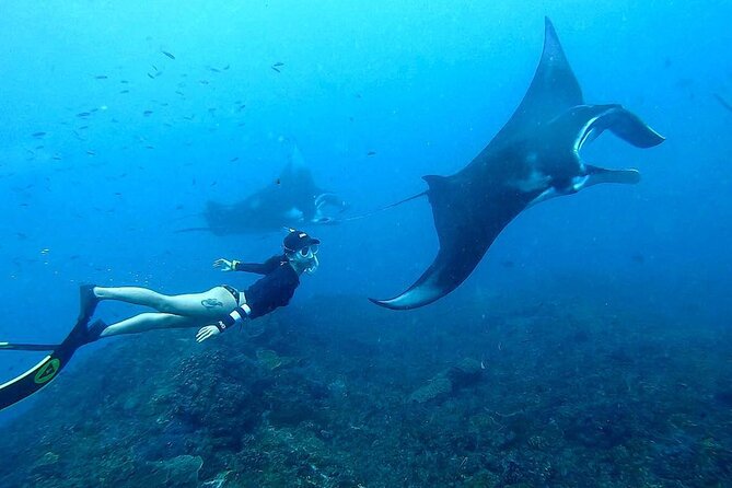Nusa Penida Snorkeling Tour With Manta Rays - Snorkeling Locations