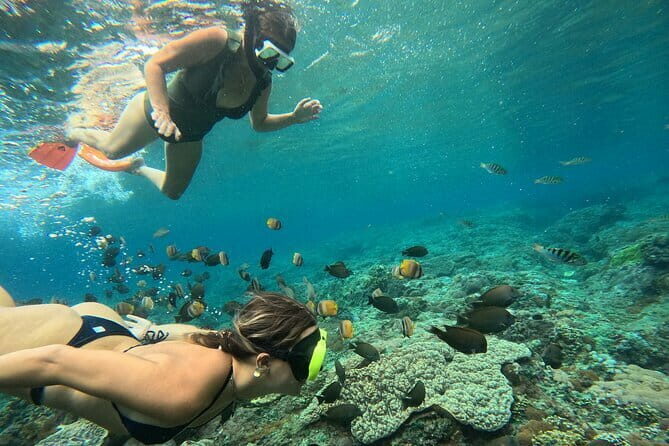 Nusa Penida : Snorkeling Trip Manta Point, Gamat Bay and Wall Bay - An In-Depth Look at the Snorkeling Adventure in Nusa Penida