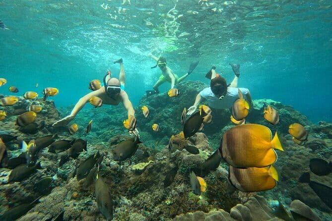 Nusa Penida : Snorkeling Trip Manta Point, Gamat Bay and Wall Bay - Final Thoughts