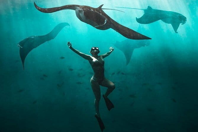 Nusa Penida : Snorkeling Trip Manta Point, Gamat Bay and Wall Bay - FAQ: Your Questions About the Nusa Penida Snorkeling Tour