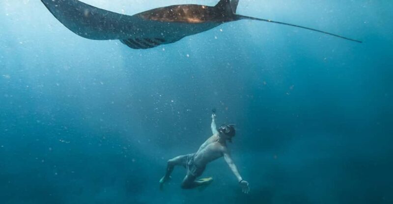 Nusa Penida: Snorkeling With Manta Rays Tour - Key Points