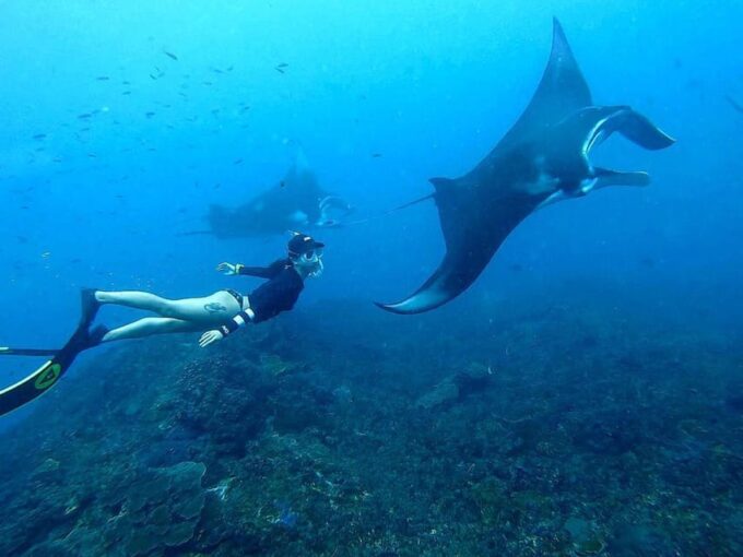 Nusa Penida: Snorkeling With Manta Rays Tour - Booking and Payment