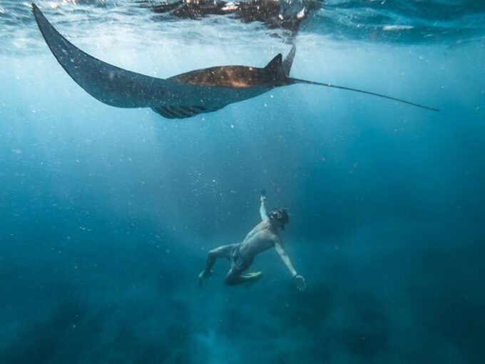 Nusa Penida: Snorkeling With Manta Rays Tour - Location and Transportation
