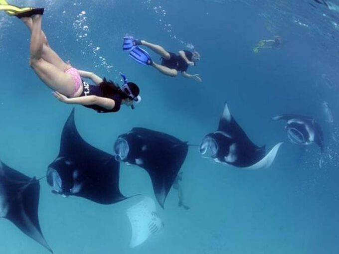 Nusa Penida: Snorkeling With Manta Rays Tour - Duration and Schedule