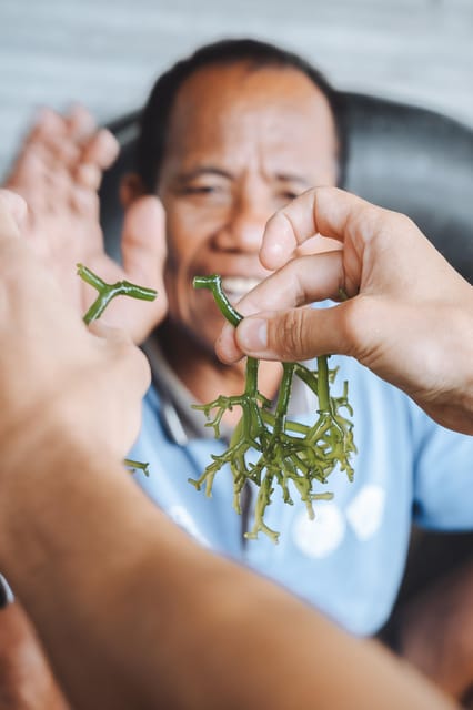 Nusa Penida: Sustainable Seaweed Farming & East Tour - Experience Highlights