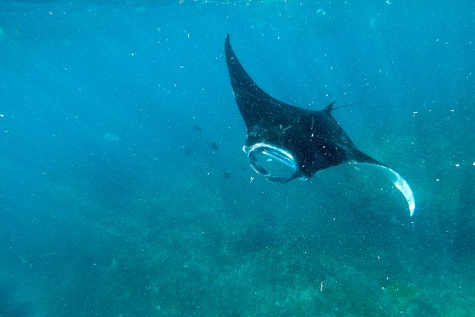 Nusa Penida Tour And Snorkeling Activity - Inclusions