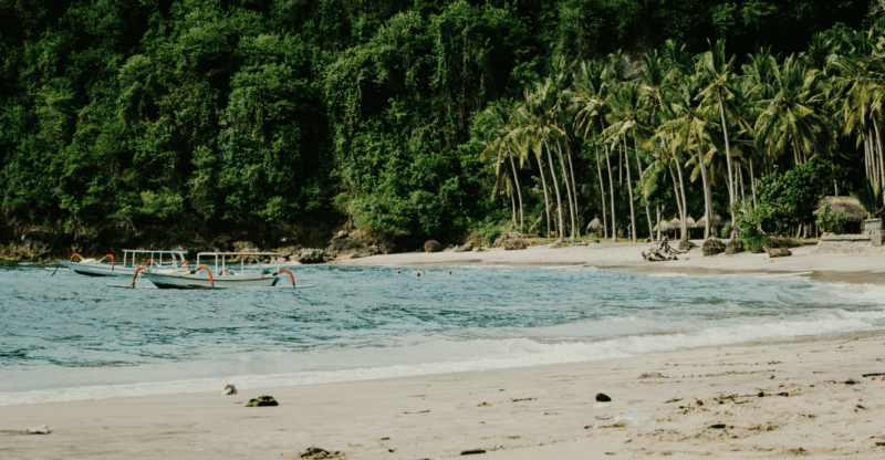 Nusa Penida Tour : Day Trip From Bali - Hotel Transfer - Customer Feedback