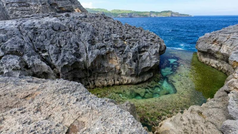 Nusa Penida Tour : Trip from Bali - Optional Bali Transfer - A Closer Look at the Nusa Penida Experience