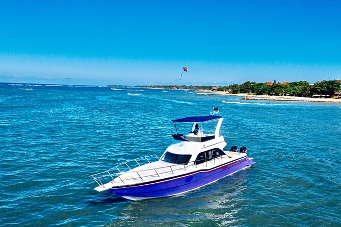 Nusa Penida Tour With Private Boat-Land Tour & Snorkeling 4 Spots - Participation Guidelines