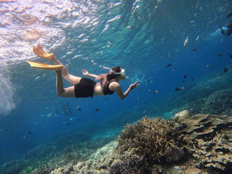 Nusa Penida: West Island Tour and Snorkeling Adventure - Key Points