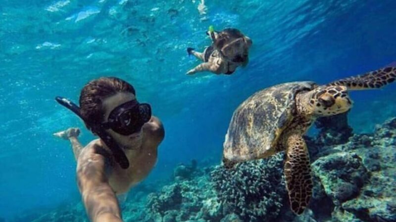 Nusa Penida: West Island Tour and Snorkeling Adventure - Snorkeling Experience