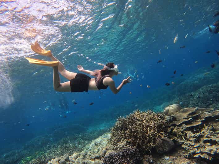 Nusa Penida: West Island Tour and Snorkeling Adventure - Land Tour Highlights