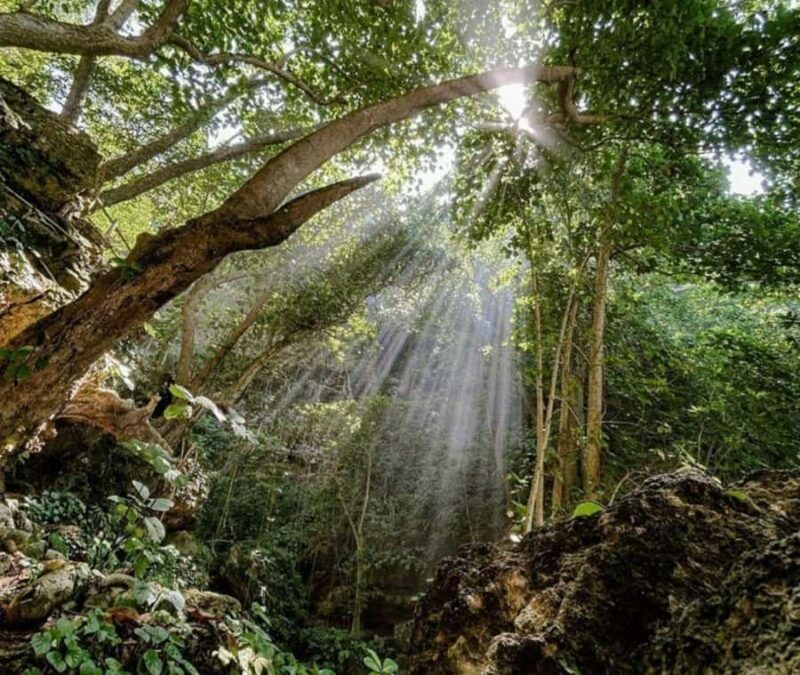 Nusa Penida: West Tour & Hidden Tembeling Pool - Key Points