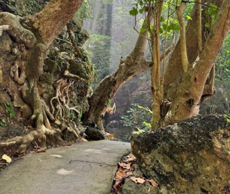 Nusa Penida: West Tour & Hidden Tembeling Pool - FAQs