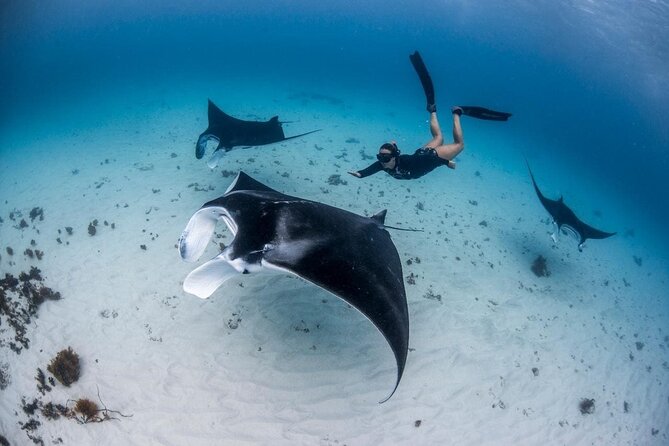 Nusa Penida West Tour With 3-4 Spots Snorkeling (All-Inclusive) - Key Points