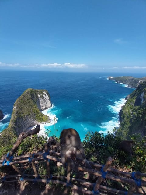 Nusapenida Day Tour With Experts Local Driver as a Guide - Included Services