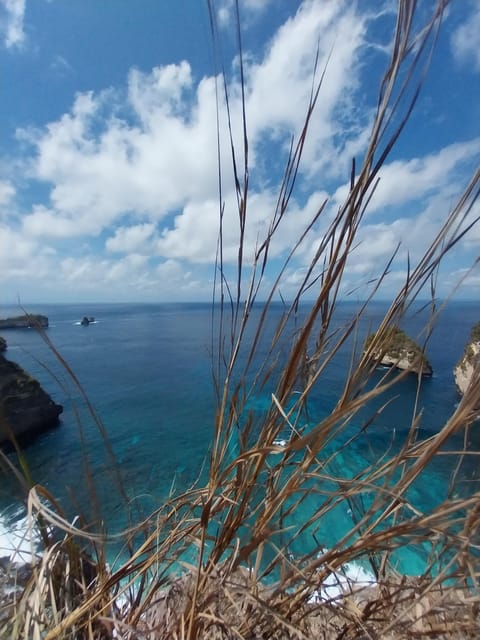 Nusapenida Day Tour With Experts Local Driver as a Guide - Important Information