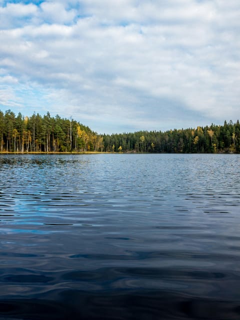 Nuuksio National Park Hiking Experience From Helsinki - Good To Know