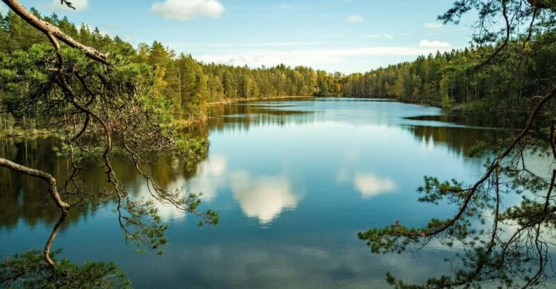 Nuuksio National Park Hiking Experience From Helsinki - Exploring the National Park