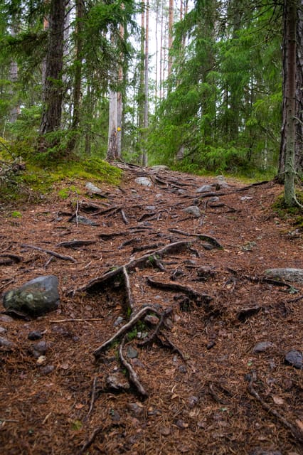 Nuuksio National Park Hiking Experience From Helsinki - Recommended Attire and Supplies