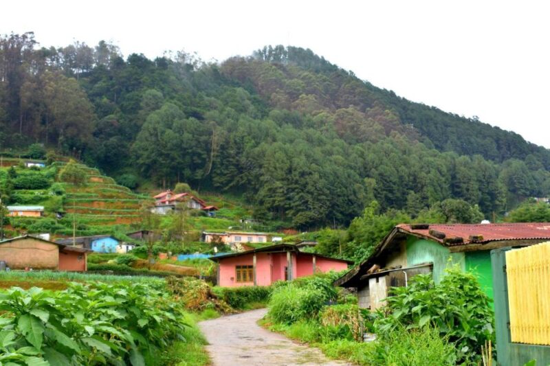 Nuwara Eliya: All-Inclusive Private Sightseeing Day Tour - Customer Reviews