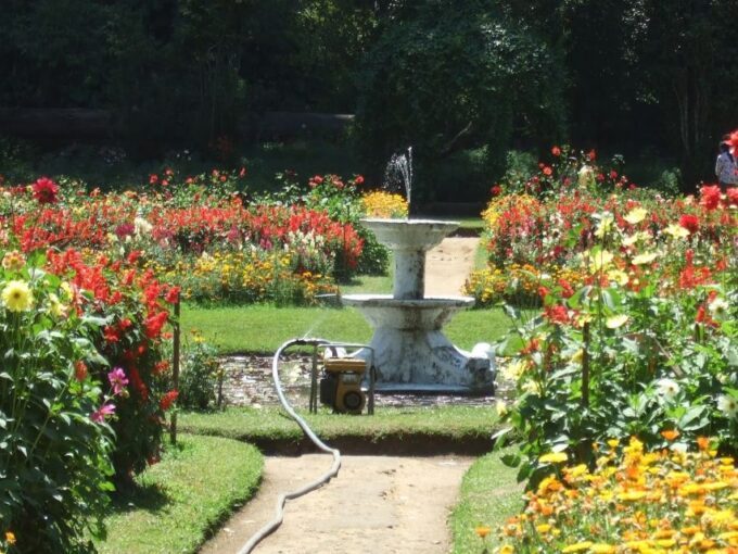 Nuwara Eliya: All-Inclusive Private Sightseeing Day Tour - Pricing and Value