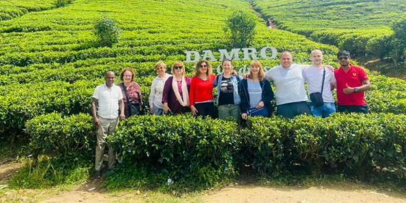Nuwara Eliya Day Tour from Kandy (Private Tour) - An In-Depth Look at the Tour Experience