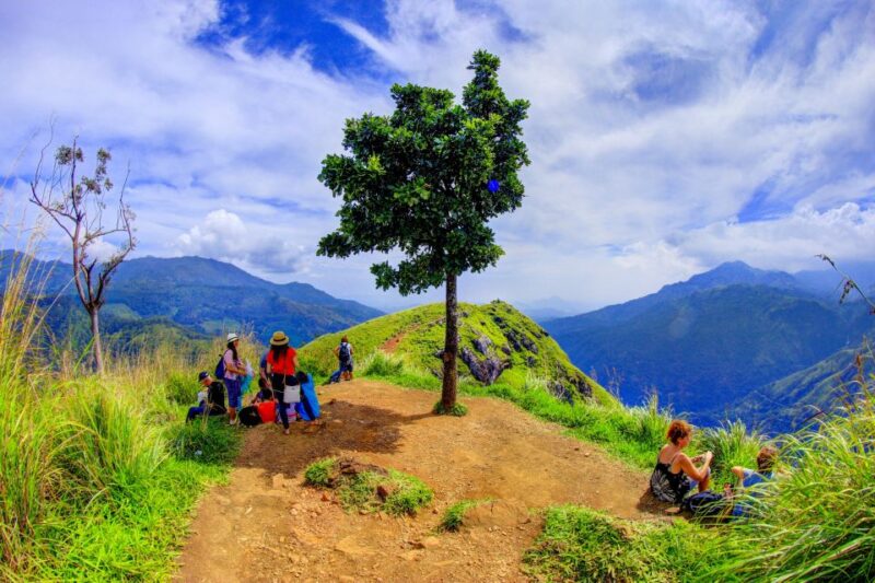 Nuwara Eliya: Ella & Little Adams Peak All-Inclusive Tour - Key Points