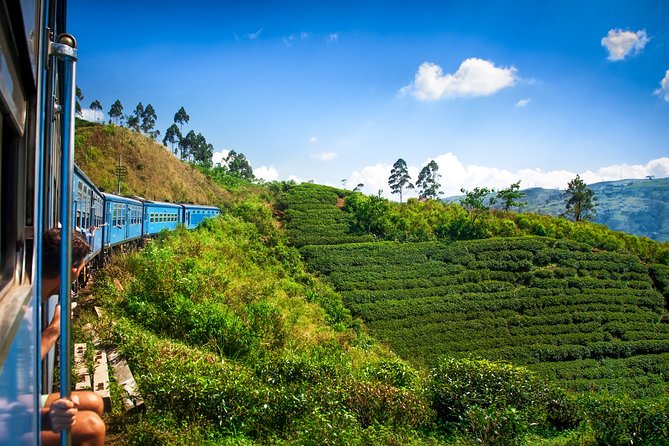 Nuwara Eliya From Kandy by Train - Transport Inclusions