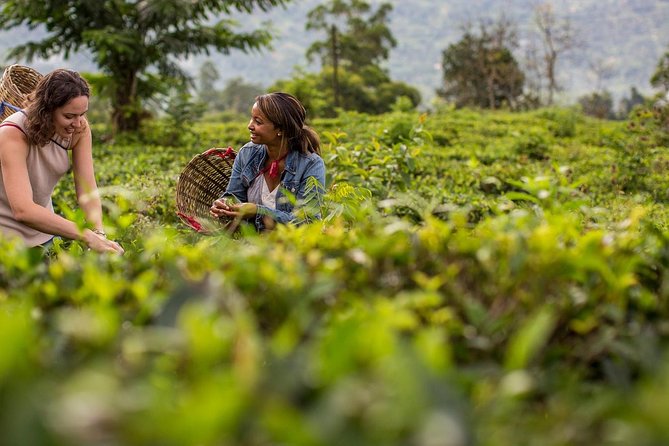 Nuwara Eliya From Kandy by Train - Tour Accessibility