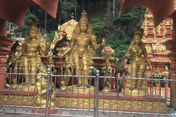 Nuwara Eliya Half Day Private Hiking and Sightseeing Tour - Transportation Details
