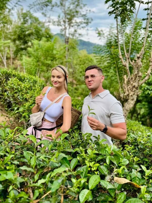 Nuwara Eliya: Hidden Falls & Tea A Local Journey Tuk Tuk - Exploring the Hidden Gems of Nuwara Eliya