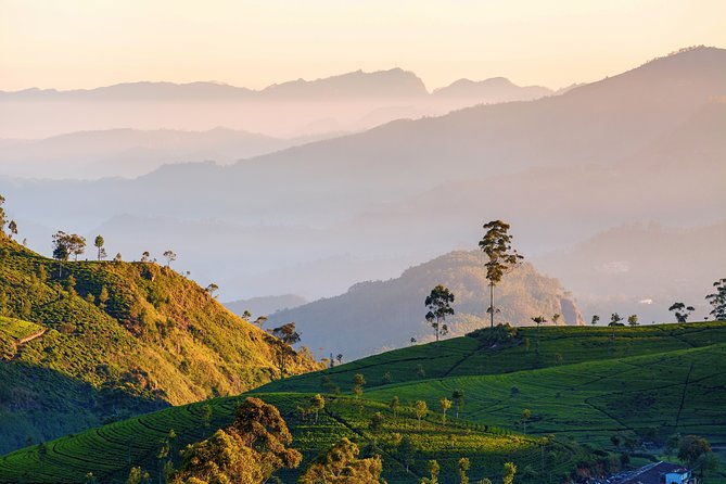 Nuwara Eliya Highlands From Kandy - Discovering Ramboda Falls