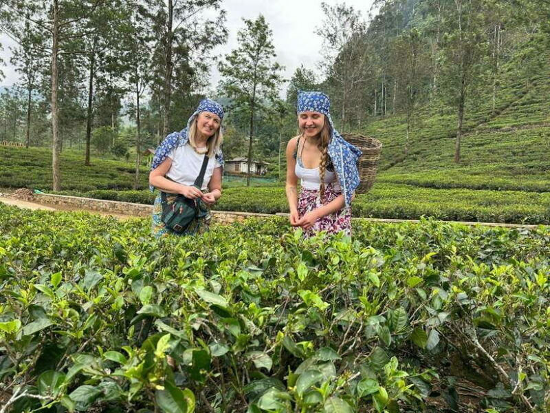 Nuwara Eliya: Private Sightseeing Tuk-Tuk Tour - The Itinerary: A Closer Look at What You’ll See and Do