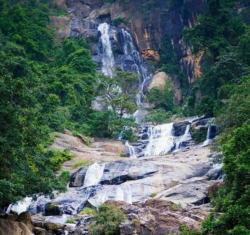 Nuwara Eliya: Tea Factory and Pickle Waterfalls Tuk Tuk Tour - Key Points
